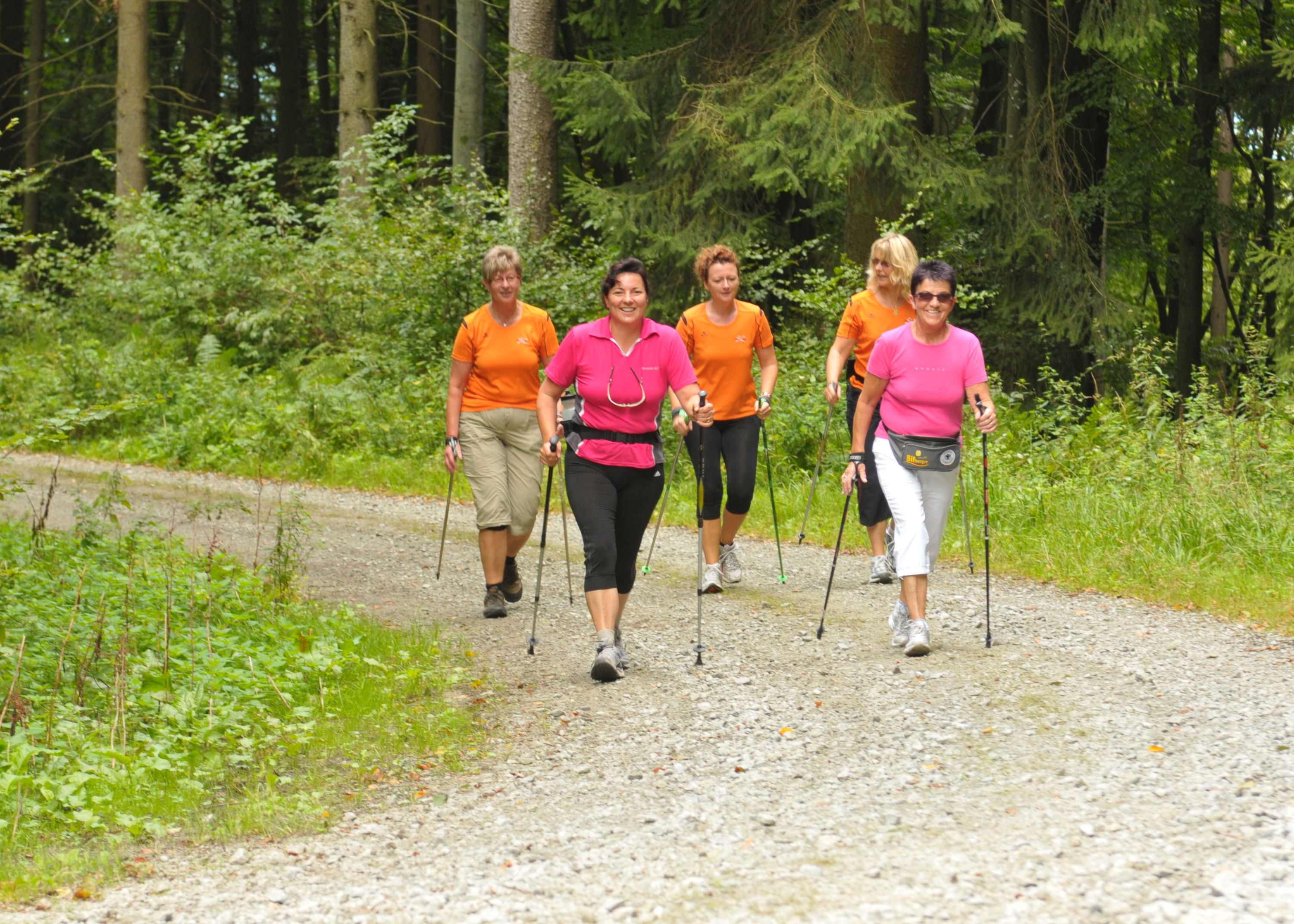 Bild von Nordic Walkern